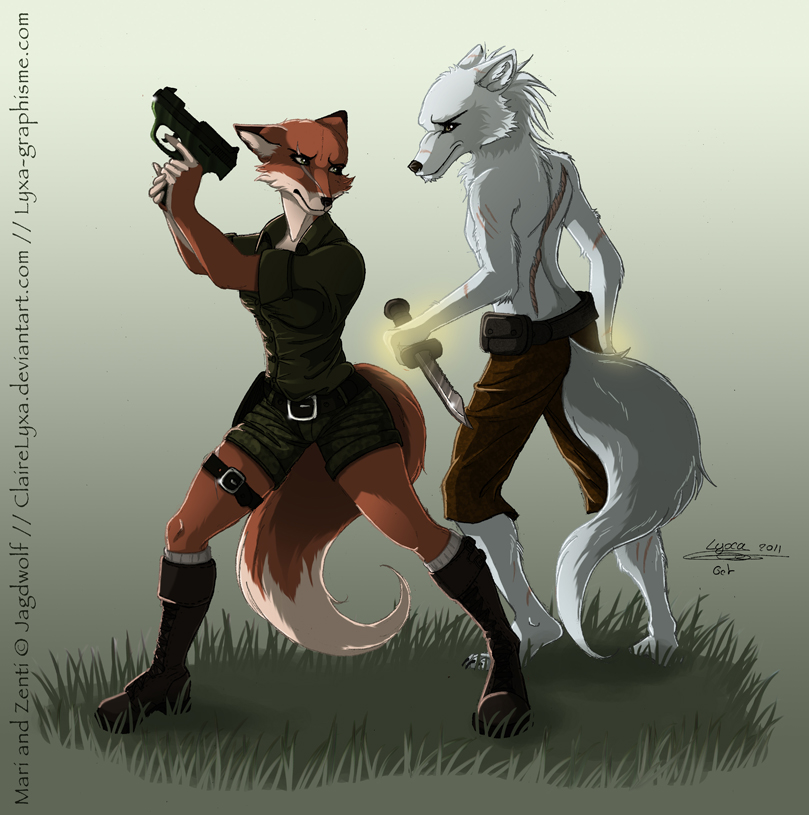 Red fox and silver wolf