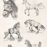 Sketches - Horses
