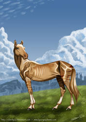 Behoka - Akhal Teke horse