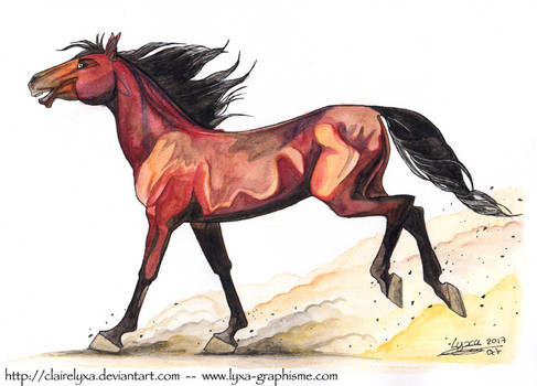 Horse galloping