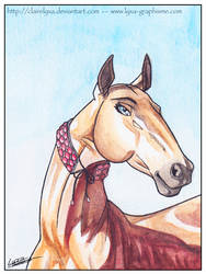 Behoka - proud akhal teke horse