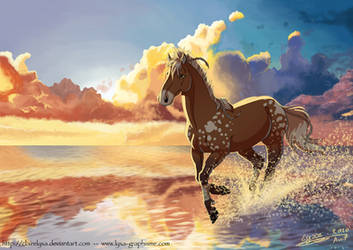Marony sunset galop