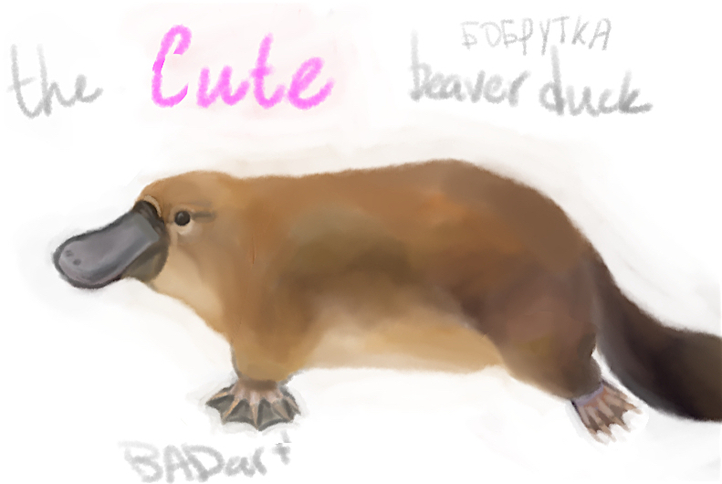 The CUTE Platypus