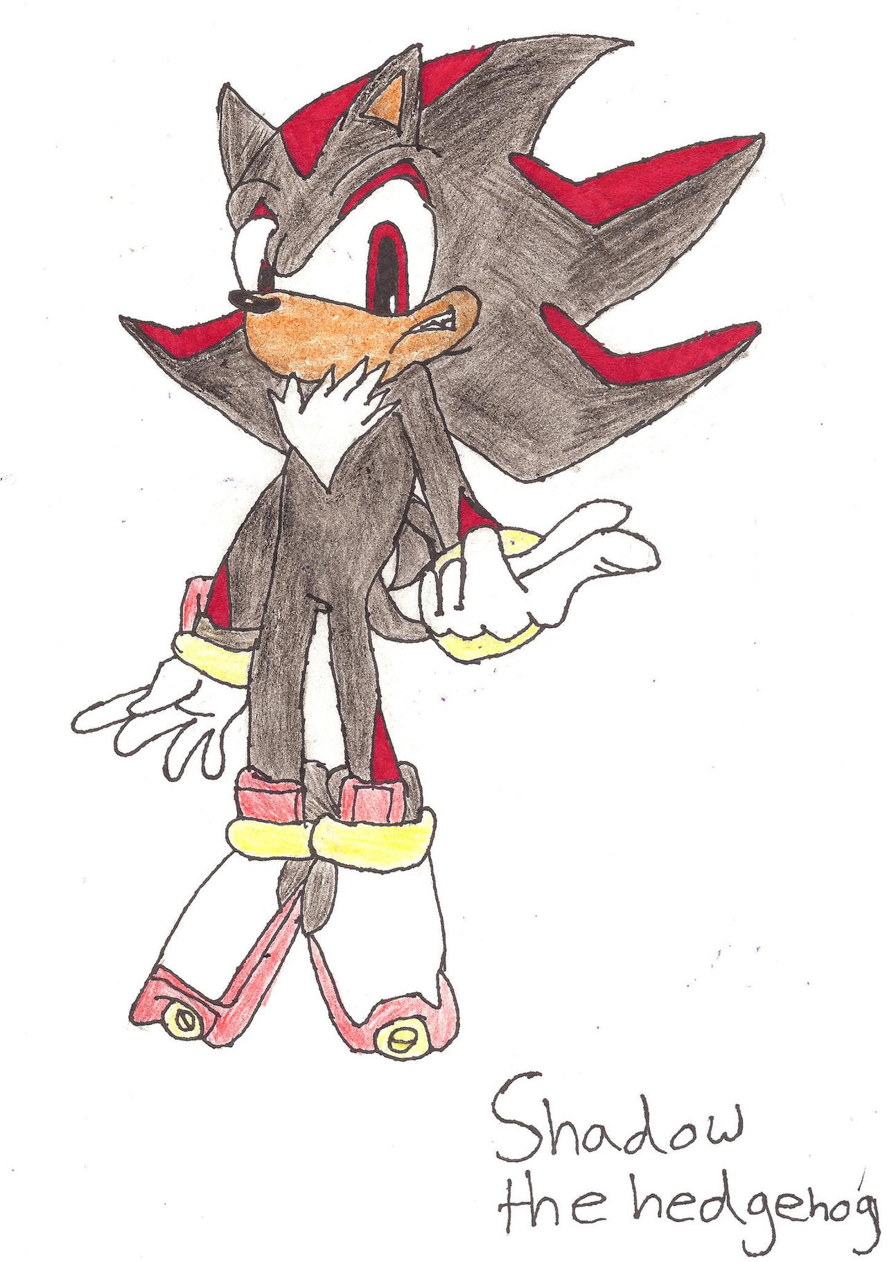 Toonsite Shadow Shadow The Hedgehog by ScarletThe-Cat on DeviantArt