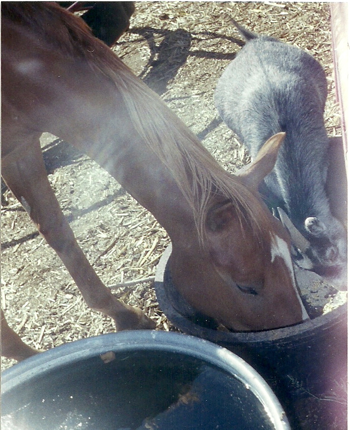 Sharing Breakfast