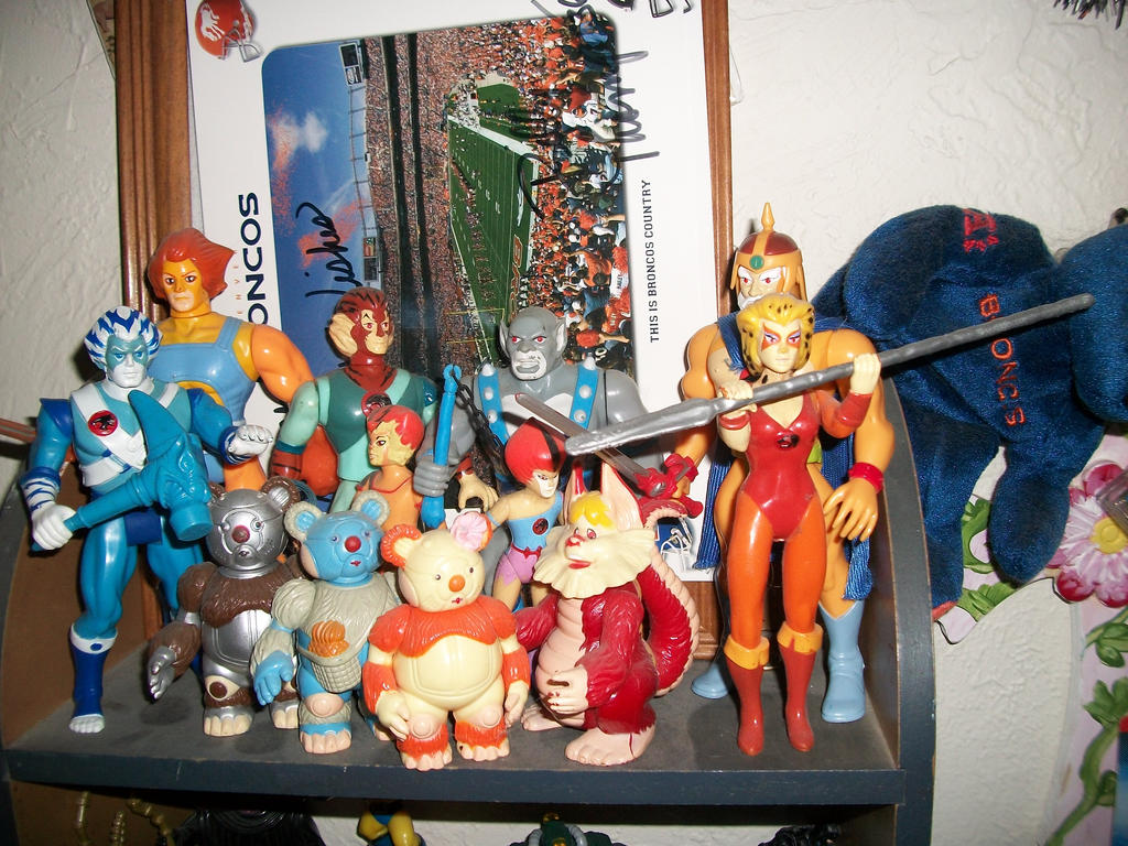 My husband's thundercats collection