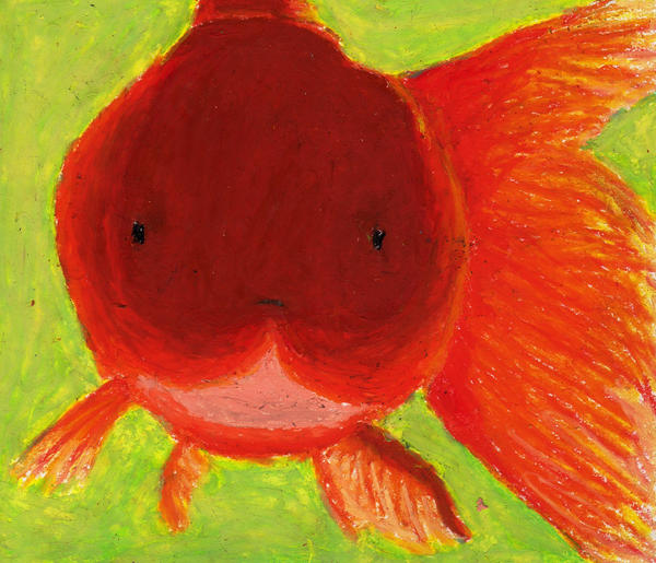 Deviantart 2007 Goldfish Goldfish Series 1 by dancinginthestars on DeviantArt