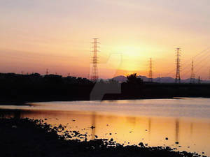 Tamagawa in July