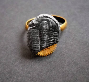 Steampunk Trilobite Ring