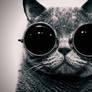 Cat Wallpaper