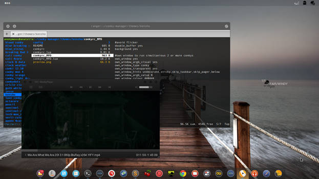 elementary OS // LUNA