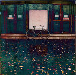 Autumn feelings by stevemcqueen237