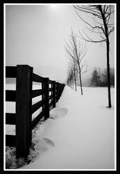 Snow fence