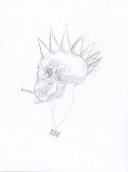 Punkskull