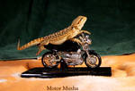 Motor Musha by LaurenT53