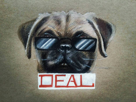 PUG-DOG MEME.