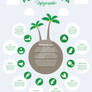 Infografis Pohon Kelapa | Coconut Tree Infographic