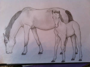 Horse + Foal