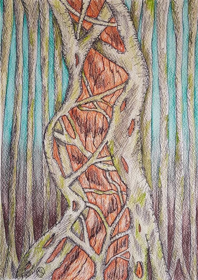 Strangling Fig Tree. 2022 by Kathryn Boundy by ObsidianBotanicals on ...