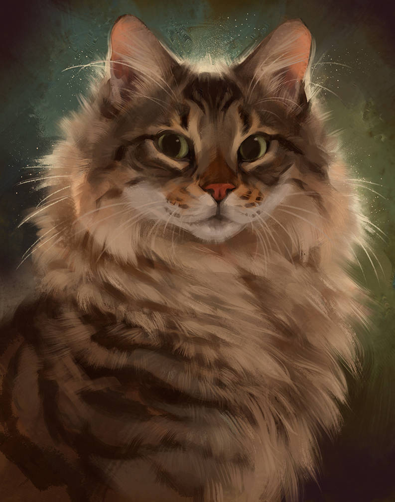Cat Art By Thomasfan160 On DeviantArt cat-art-by-thomasfan160-on-deviantart