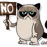 Grumpycat