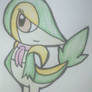 Snivy