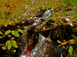 Baby Waterfall