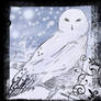 Snowy Owl