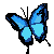 Butterfly Avatar