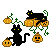 Cats and Pumpkins