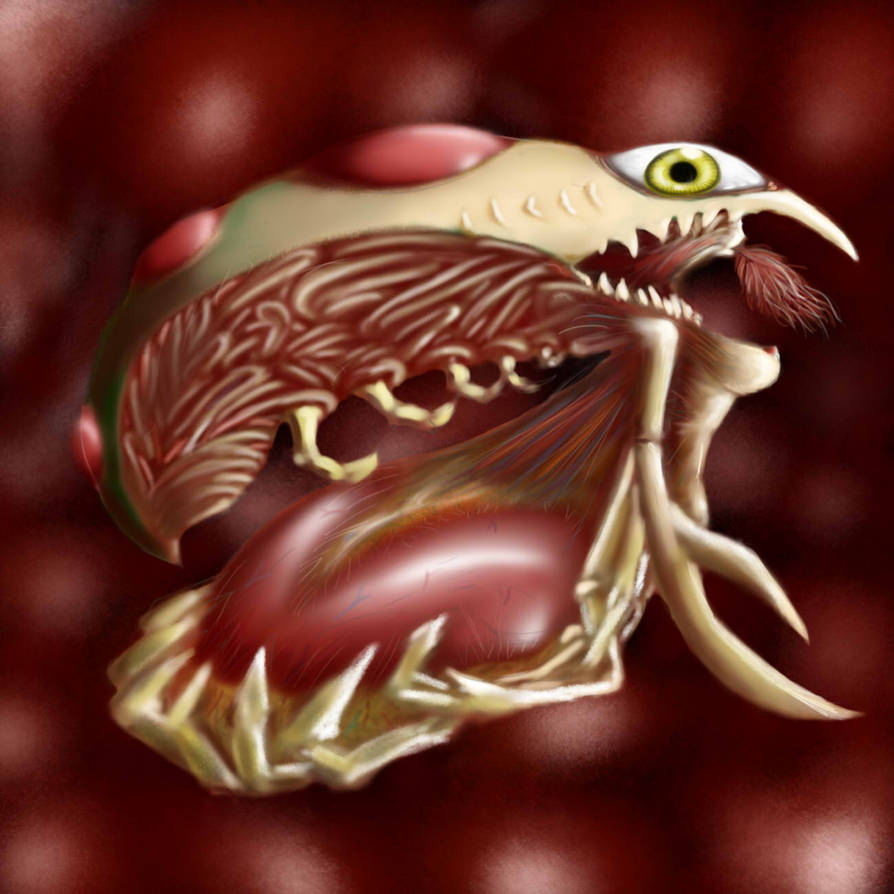 Galshell tribute by LoghaireVollinger on DeviantArt