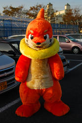 Buizel Fursuit full