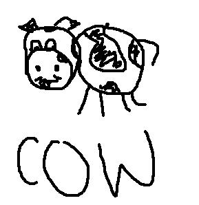 Cow