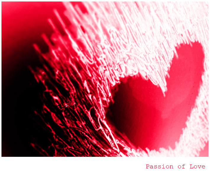 Passion of Love