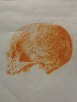 skull 2