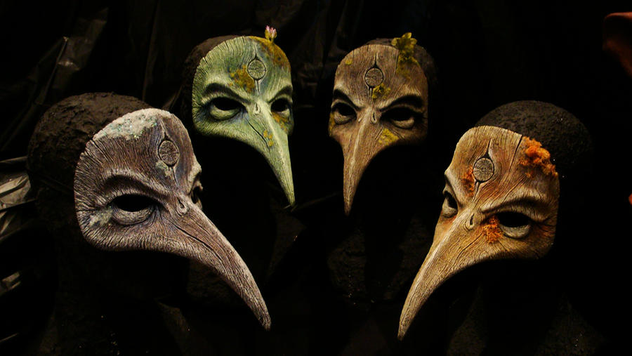 4 seasons of bird beaks