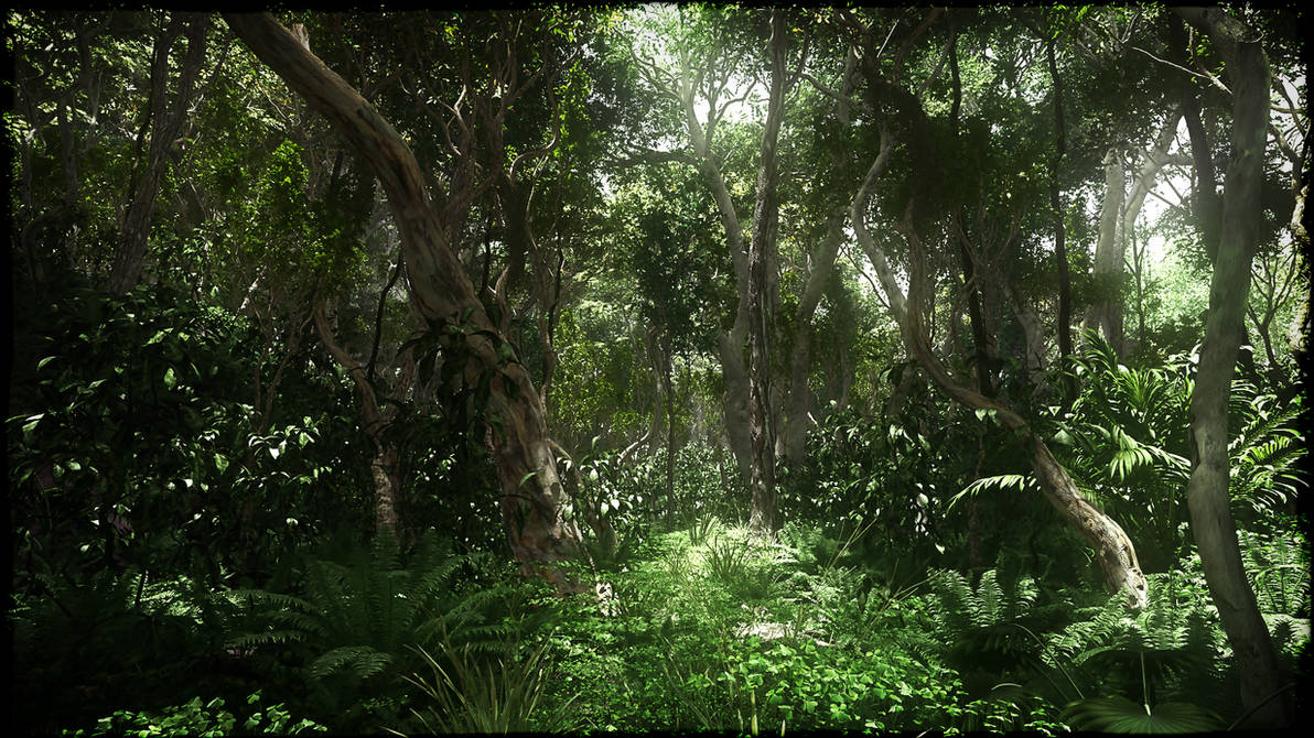 Жизнь на острове в джунглях. Вальверде джунгли. Лиэнн Рэдклифф джунгли. Чунцин тропические джунгли. Драмикс джунглей.