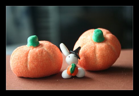 :: Witch Pumpkin Bunny ::