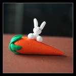 The Carrot by Shiritsu
