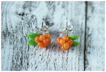 Cloudberries by Shiritsu
