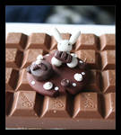 Chocolate Surprise by Shiritsu