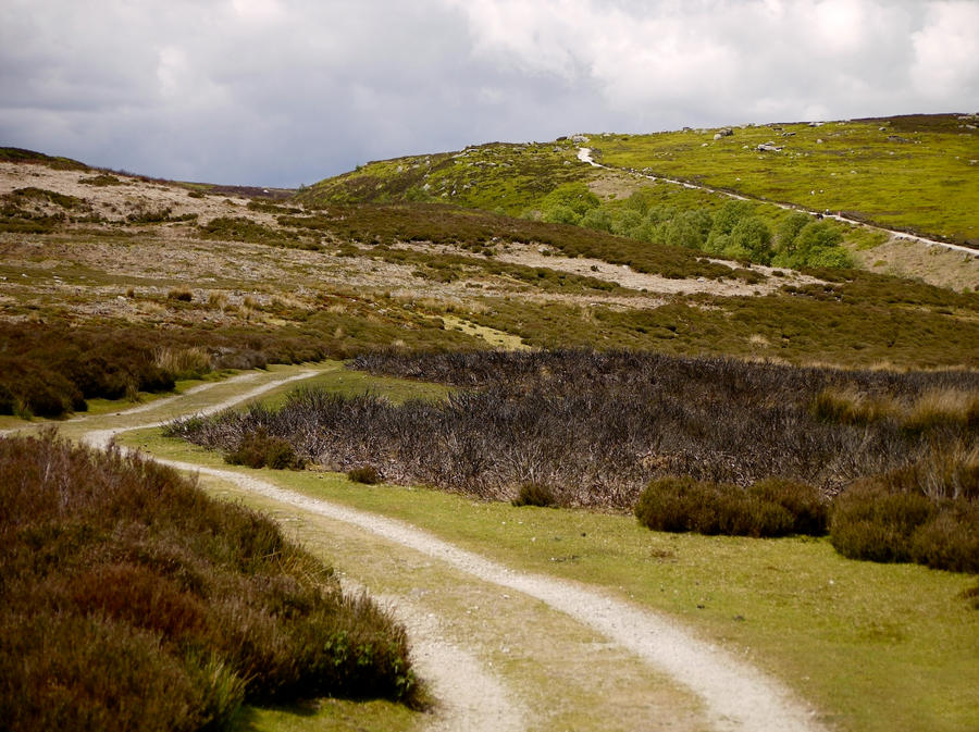 Barden Fell