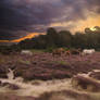 Premade background - Sunset in the purple valley