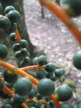 verde y naranja