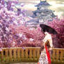 Cherry Spring