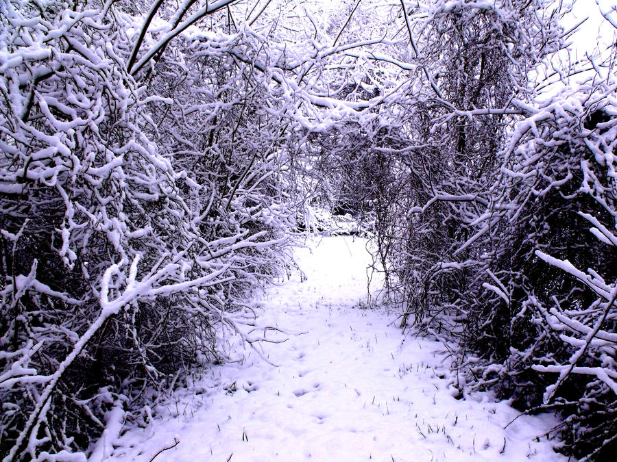 Snowfield Path Snowfallen Path by Xmiss-chibiX on DeviantArt