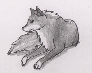 Akaiia - Wolf-Haven