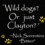 Wild dogs?