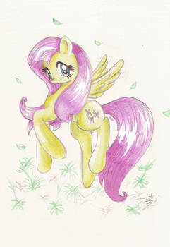 Fluttershy