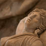 FALLEN AMAZON | Details | Recent from MANN I.